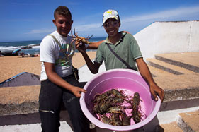 Fresh lobsters for sale on the beach in Oualidia