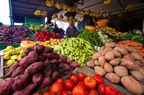Fresh vegetables in the market, Oualidia
