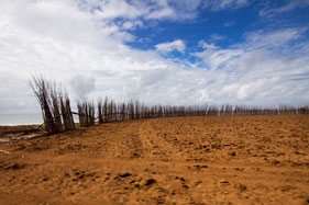 A sandy walk along the estuary